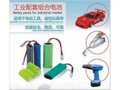 江特電機(jī) 鋰離子電池 工業(yè)級(jí)電池包